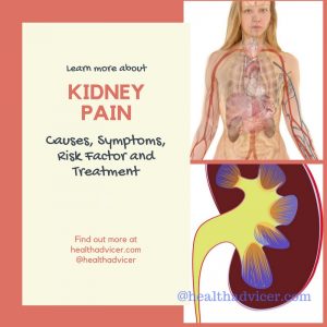 Kidney Pain : Causes, Symptoms, Risk Factor And Treatment